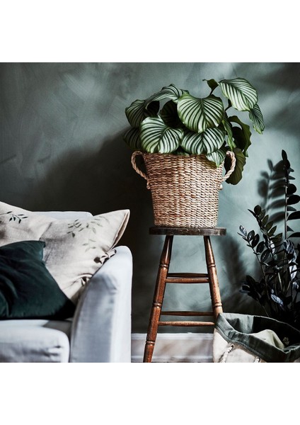 Rattan Saksı, Muz Lifi, 32 cm fiyatları