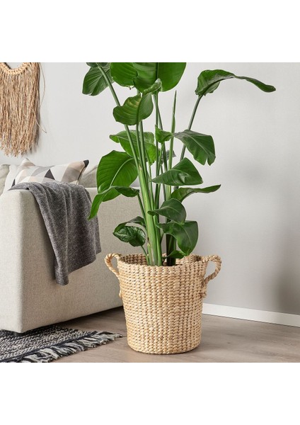 Rattan Saksı, Muz Lifi, 32 cm modelleri