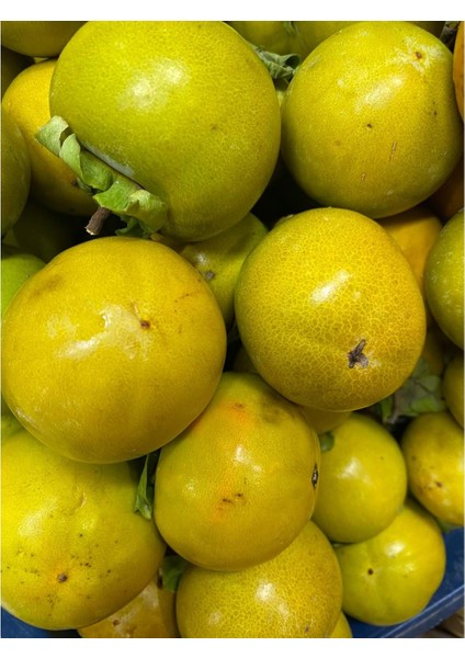 Hatay Cennet Hurması(2 Kg) fiyatları