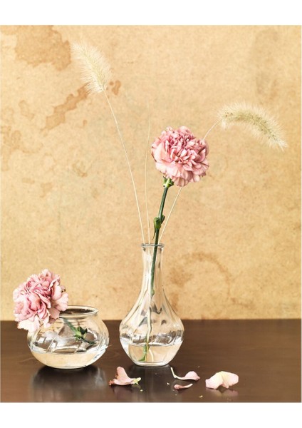 Cam Vazo, Cam, 17 cm fırsatları