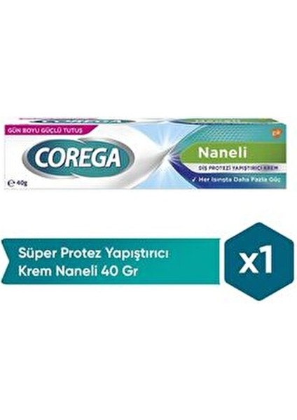 Naneli Yapıştırıcı Krem 40 gr Aromasız Bitkisel İçerik ile Güçlü Tutuş fiyatları