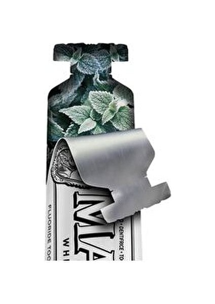 Whitening Mint Diş Macunu Nane Aromasıyla 10 ml Diş Minesine Zarar Vermeden