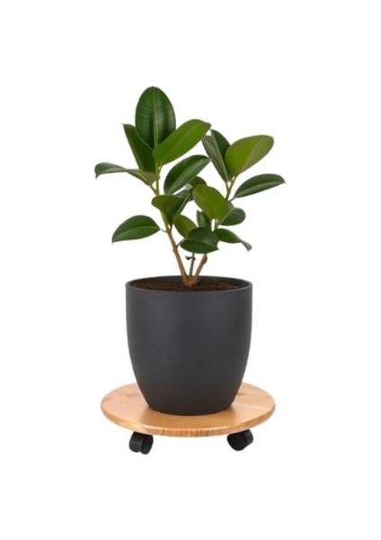 Yuvarlak Ahşap Damacana Saksı Altlığı Tüp Saksı Sehpası Otomatik Damacana Su Pompası Hediyeli fırsatları