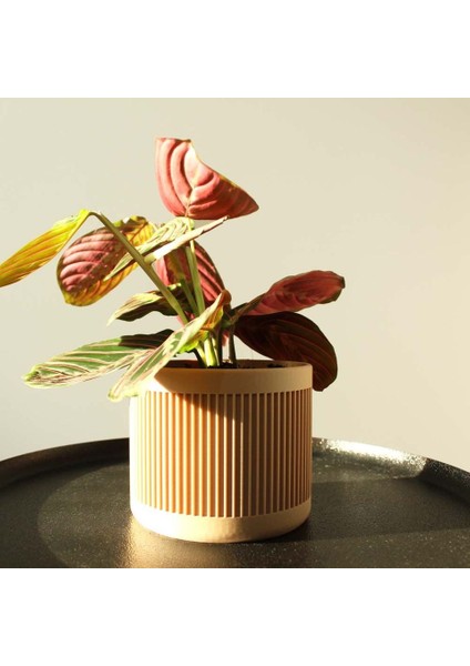 Yeni Modern Ekici (Sadece Plastik Aparattır!!!) modelleri