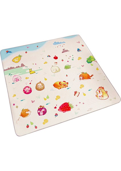 Kaymaz Oyun Matı Yer Paspası (Yurt Dışından)