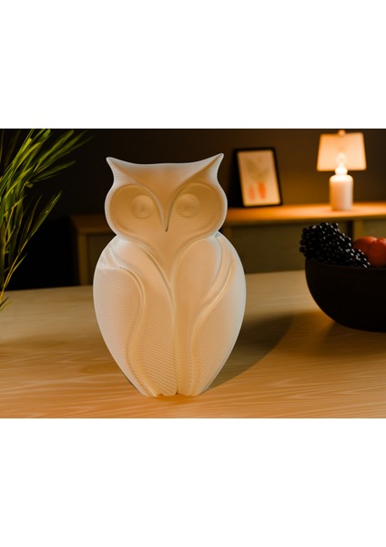 Baykuş Heykeli (Sadece Plastik Aparattır!!!) 3D