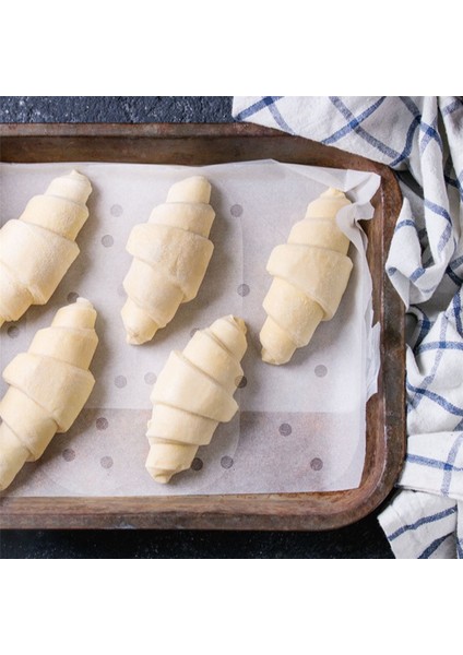 100 Adet Hava Fritözü Parşömen Kağıdı Delikli Ağartılmamış Kare Hava Fritözü Kaplamaları Buharlı Parşömen Kaplaması (Yurt Dışından) fiyatları