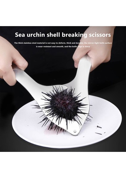Paslanmaz Çelik Deniz Kestanesi Kabuğu Kesme Makası Iş Gücü Tasarrufu Deniz Kestanesi Kabuğu Açma Aletleri Makas Mutfak Aletleri (Yurt Dışından) fiyatları