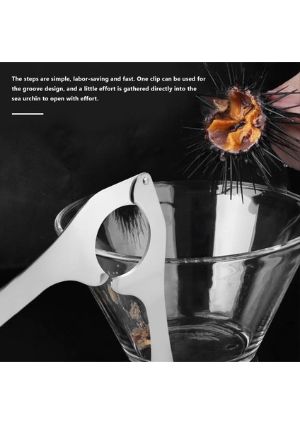 Paslanmaz Çelik Deniz Kestanesi Kabuğu Kesme Makası Iş Gücü Tasarrufu Deniz Kestanesi Kabuğu Açma Aletleri Makas Mutfak Aletleri (Yurt Dışından) modelleri