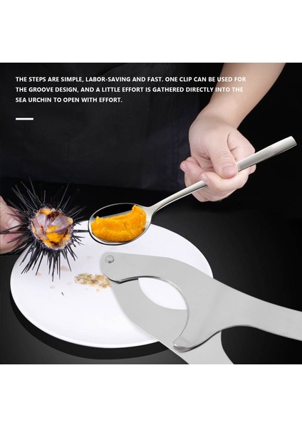 Paslanmaz Çelik Deniz Kestanesi Kabuğu Kesme Makası Iş Gücü Tasarrufu Deniz Kestanesi Kabuğu Açma Aletleri Makas Mutfak Aletleri (Yurt Dışından) fırsatları