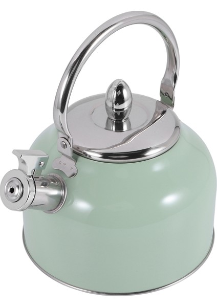 2,5 L Gazlı Ocaklar Için Düdüklü Su Isıtıcısı Tüm Ocaklar Paslanmaz Çelik Kahve Çaydanlığı Gazlı Çaydanlık (Yurt Dışından) modelleri