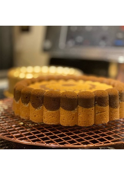 Charlotte Kek Kalıbı, Charlotte Kek Kalıbı Yapışmaz, 9,4 Inç Kek Kalıbı Pişirme Için Yivli Kek Kalıbı (Yurt Dışından) fırsatları