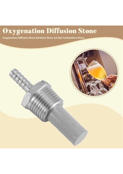 Evde Bira Yapımı Sıralı Oksijenasyon Difüzyon Taşı Havalandırma Taşı 1/2 Npt Karbonatlama Taşı (Yurt Dışından) fırsatları