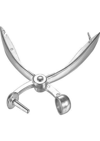 Adet Gümüş Metal Kiraz Çekirdeği Çıkarıcı Zeytin Çekirdeği Kolay Çıkarıcı El ile Çıkarma Çekirdek Aleti Mutfak Meyve Sebze Çekirdek Çıkarıcı (Yurt Dışından)