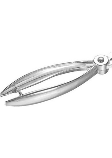 Adet Gümüş Metal Kiraz Çekirdeği Çıkarıcı Zeytin Çekirdeği Kolay Çıkarıcı El ile Çıkarma Çekirdek Aleti Mutfak Meyve Sebze Çekirdek Çıkarıcı (Yurt Dışından) indirimleri