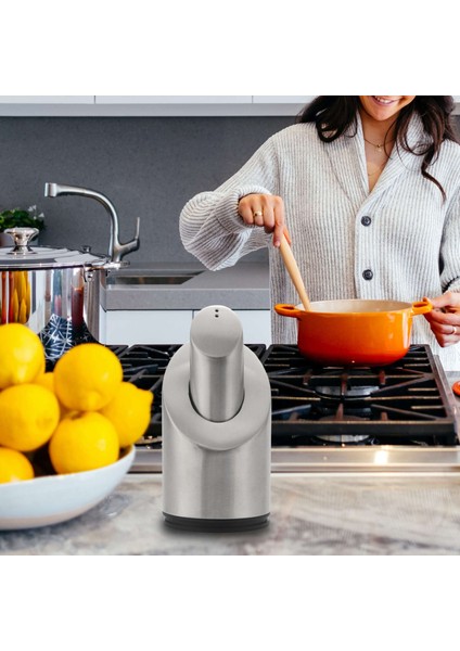 1 Adet Paslanmaz Çelik Tuz ve Biberlik Seti Delikli Baharat Kavanozu Baharat Rafı Mutfak Baharatlık Aracı (Yurt Dışından) fiyatları