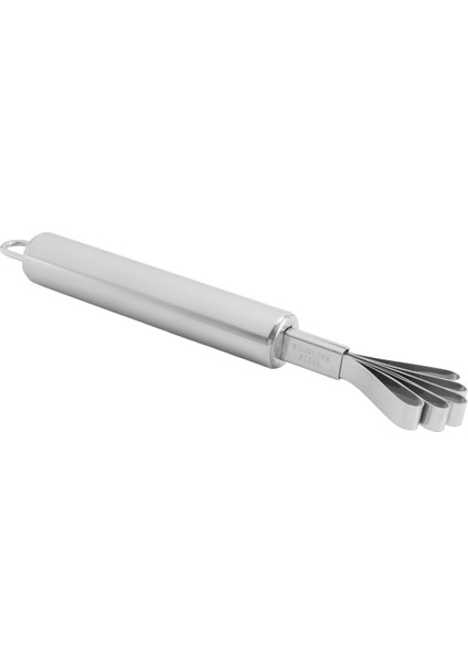 Balık Pulları Planyası Paslanmaz Çelik Hindistan Cevizi Planyası Çekirdek Çıkarıcı (Yurt Dışından)