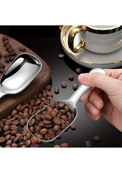 Paslanmaz Çelik Kahve Kepçesi, Öğütülmüş Kahve Ölçü Kepçesi Seti, Çekirdek Espresso Süt Tozu Çay Kısa Saplı Kepçe (Yurt Dışından) indirimleri