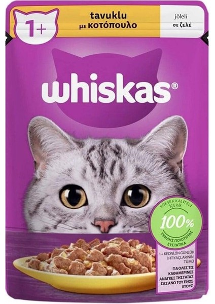 Pouch Jöle İçerisinde Tavuklu Yetişkin Konserve Kedi Mama fiyatları