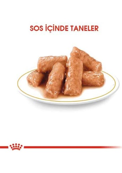 British Shorthair Adult Pouch Yetişkin Kedi Konservesi 85 Gr fırsatları