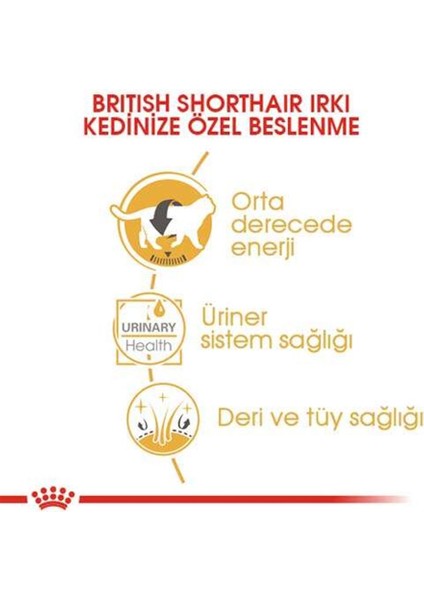 British Shorthair Adult Pouch Yetişkin Kedi Konservesi 85 Gr