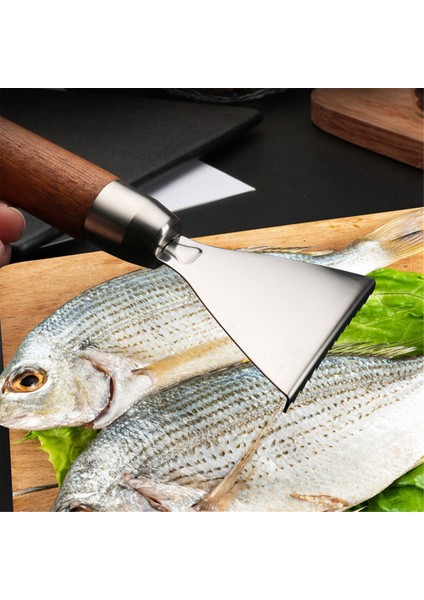 Paslanmaz Çelik Taşınabilir Balık Pulları Temizleyici Kablosuz Mutfak Balık Pulları Temizleyici, Balık Temizleme Aleti Balık Pulları Temizleyici (Yurt Dışından) indirimleri