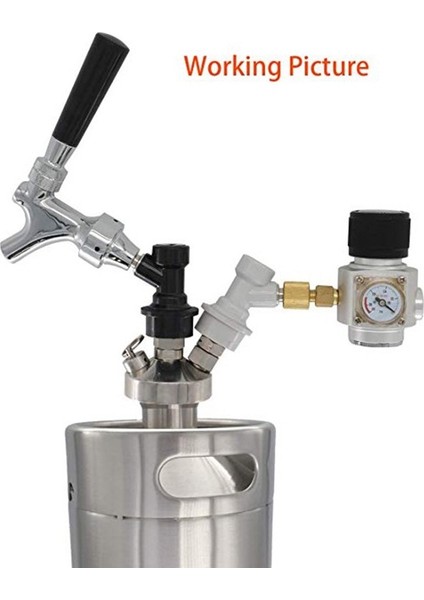 Mini Bira Fıçısı Için Ball Lock Mini Fıçı Musluk Dağıtıcısı Paslanmaz Çelik Dağıtıcı Growler Ev Yapımı Bira Mızrağı 3.6L/5L/10L Bira Aracı (Yurt Dışından) indirimleri