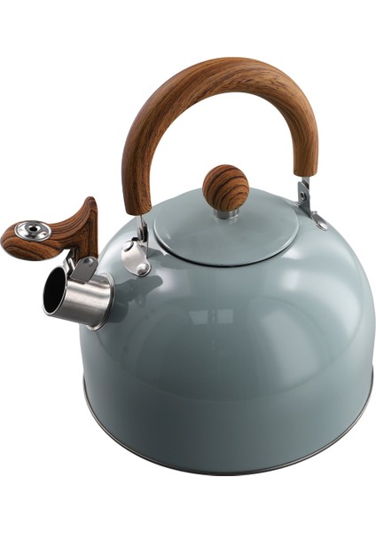 3l Litre Paslanmaz Çelik Düdüklü Su Isıtıcısı Kalınlaştırılmış Su Isıtıcısı Gazlı Indüksiyonlu Ocak Evrensel Su Isıtıcısı Düdüklü Su Isıtıcısı (Yurt Dışından)