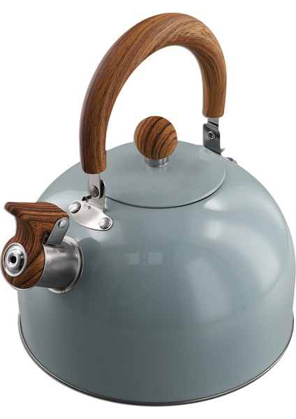 3l Litre Paslanmaz Çelik Düdüklü Su Isıtıcısı Kalınlaştırılmış Su Isıtıcısı Gazlı Indüksiyonlu Ocak Evrensel Su Isıtıcısı Düdüklü Su Isıtıcısı (Yurt Dışından) fiyatları