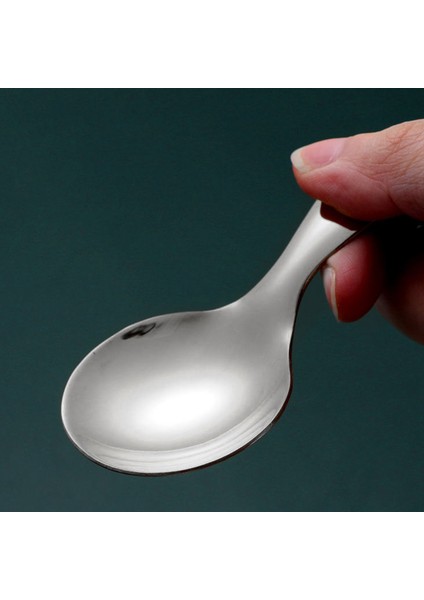 10 Adet Paslanmaz Çelik Kısa Saplı Kaşıklar Mini Tuz Kaşıkları Sos Kaşıkları Tatlı Kaşığı Çay Kahve Kaşıkları, Gümüş (Yurt Dışından) indirimleri