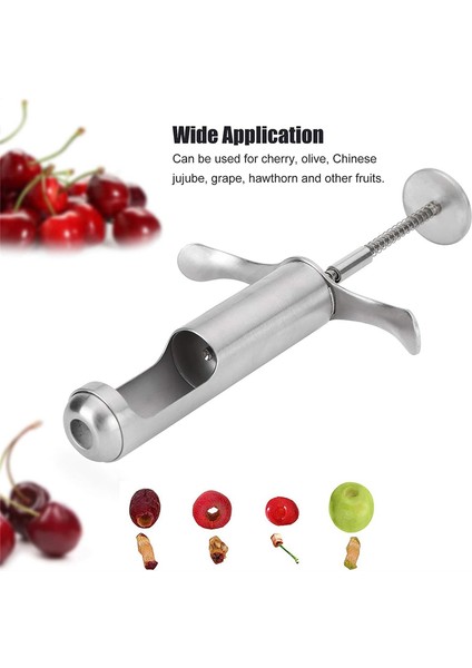 Alıç Üzümü Kırmızı Hurma Çekirdek Çıkarıcı Için Paslanmaz Çelik Çekirdek Çıkarma Aleti Alıç Çekirdeği Çıkarma Aleti Ev Mutfak Aleti (Yurt Dışından) fiyatları