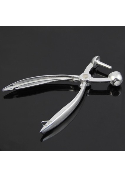 Gümüş Alüminyum Kiraz Çekirdeği Ayıklayıcı Kırmızı Hurma Zeytin Çekirdeği Kolay Çıkarma Çekirdeği Sıkma Kelepçesi Tohum Ekme Makinesi 18*3,5 cm (Gümüş) (Yurt Dışından) modelleri
