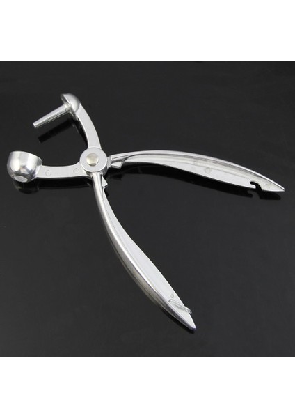 Gümüş Alüminyum Kiraz Çekirdeği Ayıklayıcı Kırmızı Hurma Zeytin Çekirdeği Kolay Çıkarma Çekirdeği Sıkma Kelepçesi Tohum Ekme Makinesi 18*3,5 cm (Gümüş) (Yurt Dışından) fırsatları