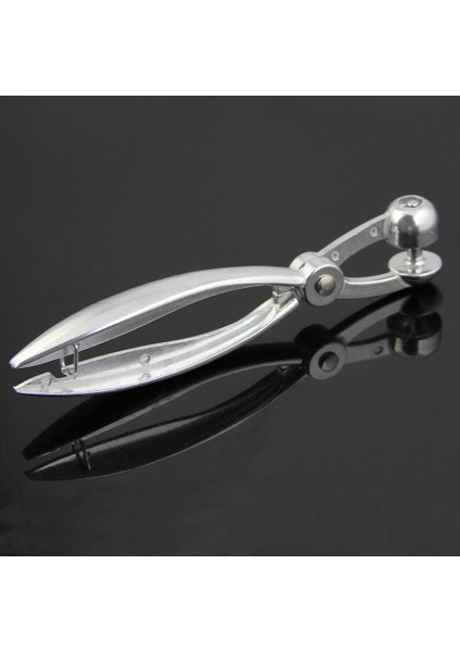 Gümüş Alüminyum Kiraz Çekirdeği Ayıklayıcı Kırmızı Hurma Zeytin Çekirdeği Kolay Çıkarma Çekirdeği Sıkma Kelepçesi Tohum Ekme Makinesi 18*3,5 cm (Gümüş) (Yurt Dışından) indirimleri