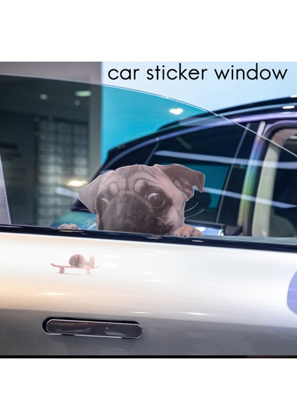 Komik Sevimli Pet Pug Köpek Salyangoz 3D Araba Pencere Çıkartmaları Ev Duvar Sticker Dekorasyon (Yurt Dışından) fiyatları