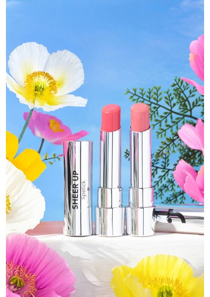 Sheer Up Yarı Saydam Renk Veren Nemlendirici Stick Parlak Ruj (003 Pinky Nude) 8682536012010