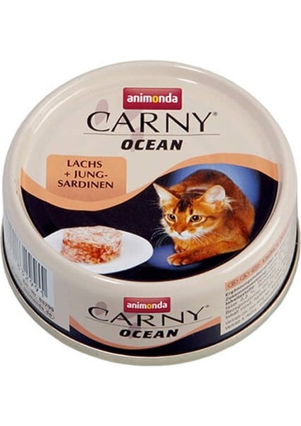 Carny Ocean Somon Sardalya Kedi Konservesi 80 Gr fiyatları