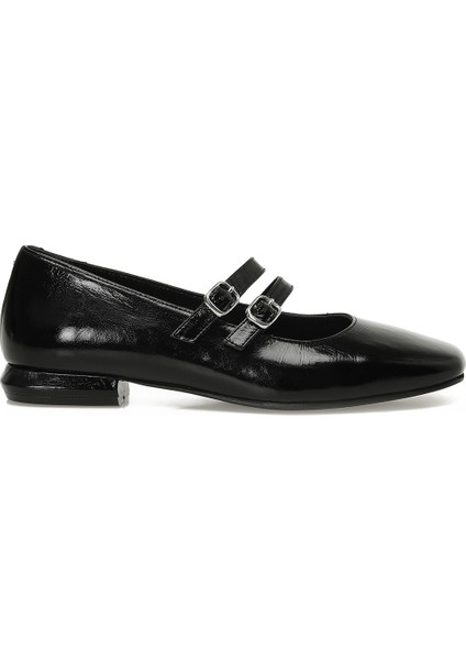 Inci Incı Tan 5pr Siyah Kadın Babet