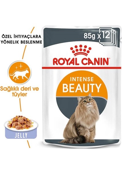 İntense Beauty Jelly Pouch Kedi Maması 85 Gr indirimleri