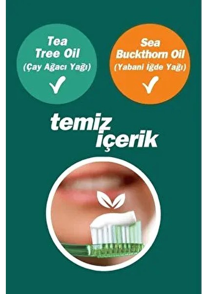 Ferahlatıcı Diş Macunu Ağız Kokusuna Karşı Etkili 75 GR Diş Sağlığı İçin indirimleri