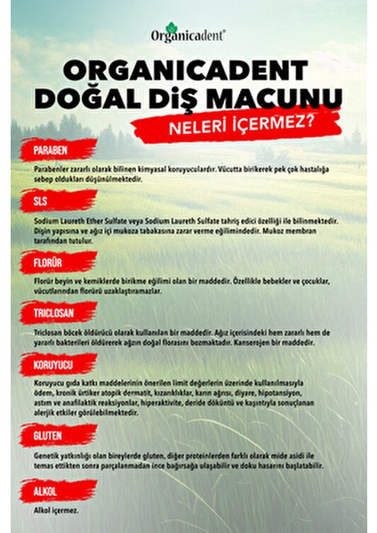 Doğal Diş Macunu Aktif Karbonlu Beyazlatıcı Etki 4'lü Paket Alkol ve Paraben İçermez