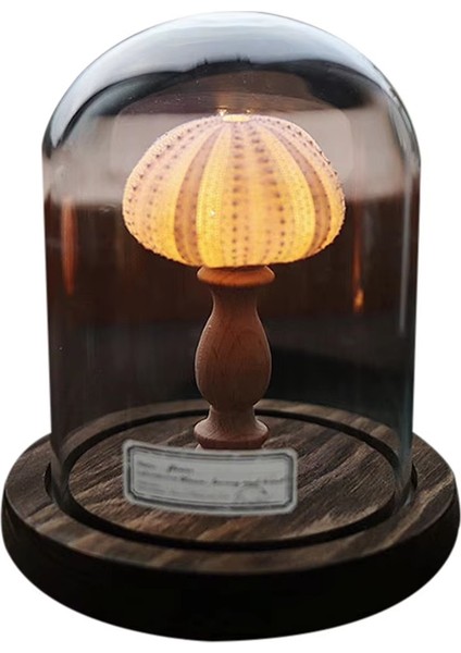 Kendin Yap Gece Lambası Mini LED Lamba Yumuşak Aydınlatma Titreşimsiz Gece Lambası Yenilikçi Ev Dekorasyonu Harika Hediye Fikri Stil: B (Yurt Dışından)