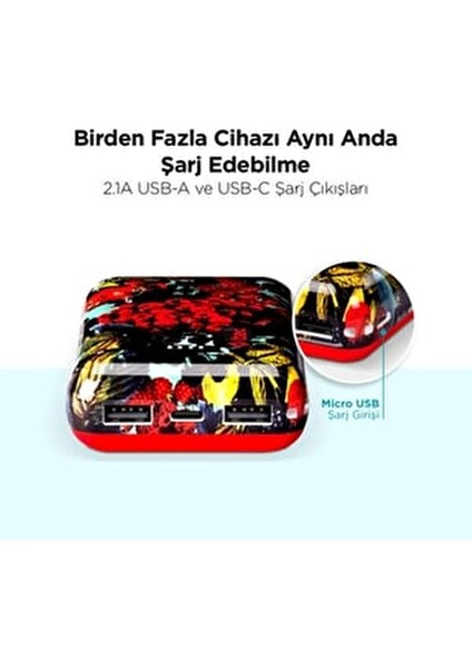 Artpower 10.000 MAH Kapasite 3 USB Çıkışlı Powerbank - Zebra