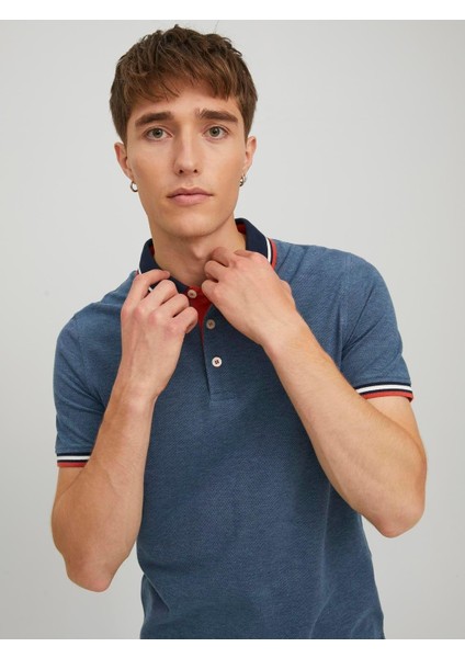 Paulos Polo Yaka Erkek Tişört 12136668