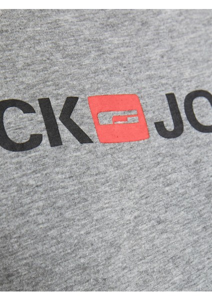 Erkek Gri T-Shirt indirimleri