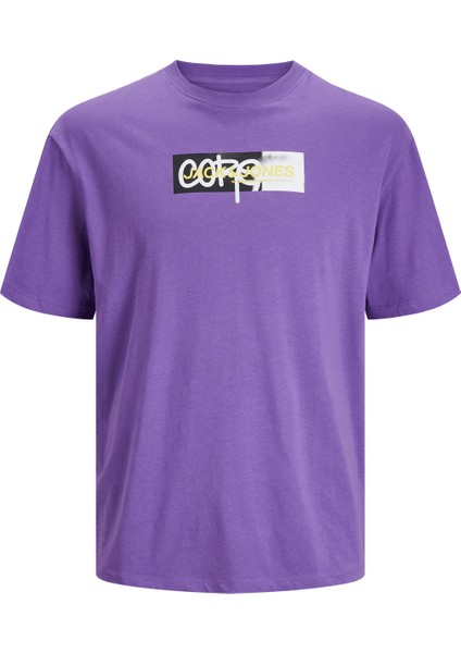 Erkek T-Shirt 12253477 fırsatları