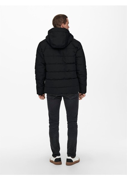 Cayson Puffa Otw Erkek Siyah Mont 22019598-02