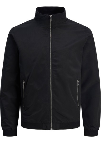 Dik Yaka Bomber Ceket-12204277