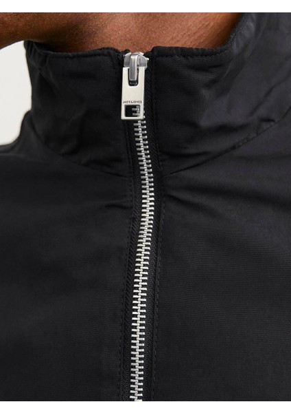 Dik Yaka Bomber Ceket-12204277