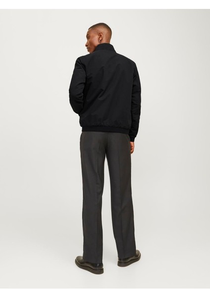 Dik Yaka Bomber Ceket-12204277